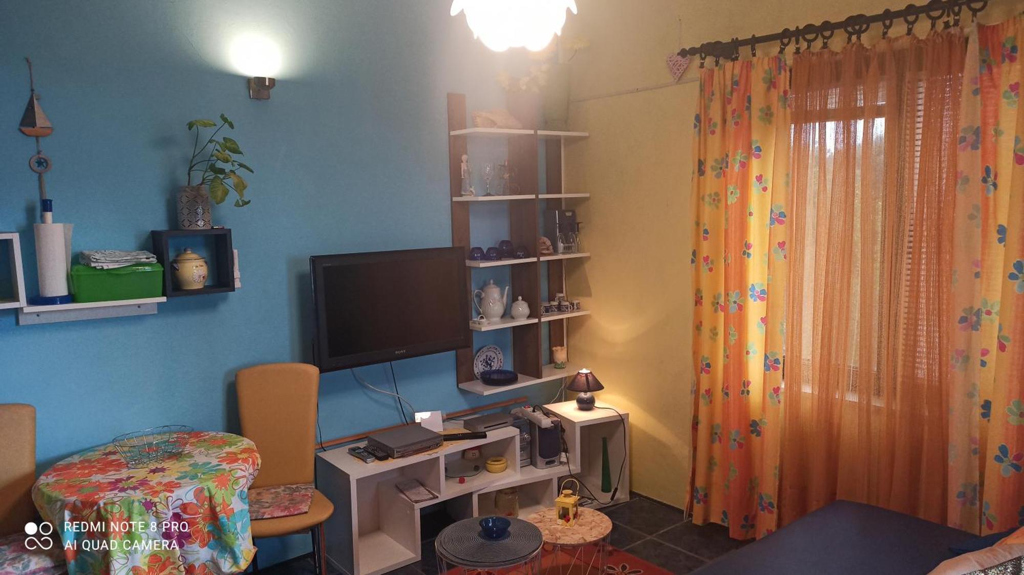 Apartmani Zute Račišće الغرفة الصورة